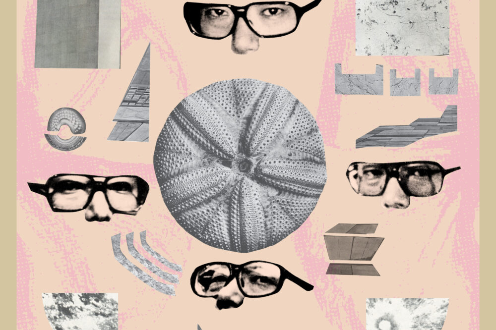 Reputations kim swoo guen shay colley v 3