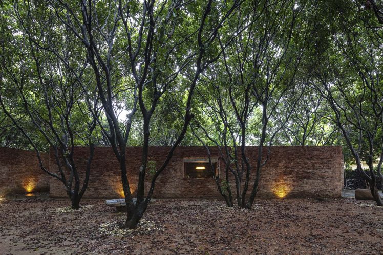 arb_dao_mau_museum_temple_nguyen_ha_architectural_review_w_awards_3-748x499.jpg