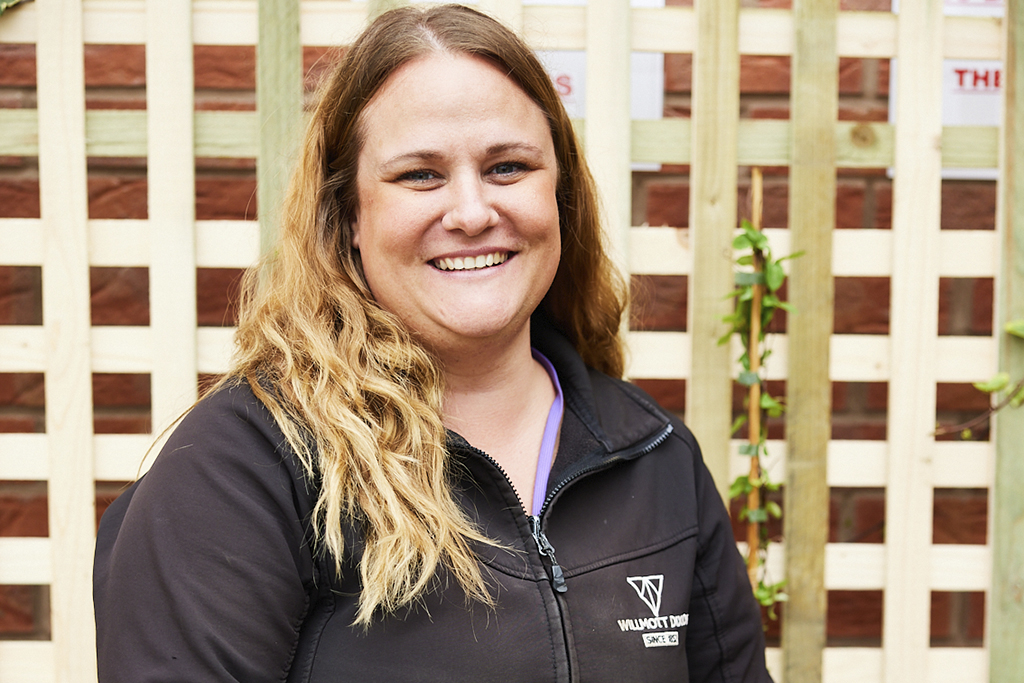 Ending domestic abuse Sophia from Willmott Dixon on changing lives