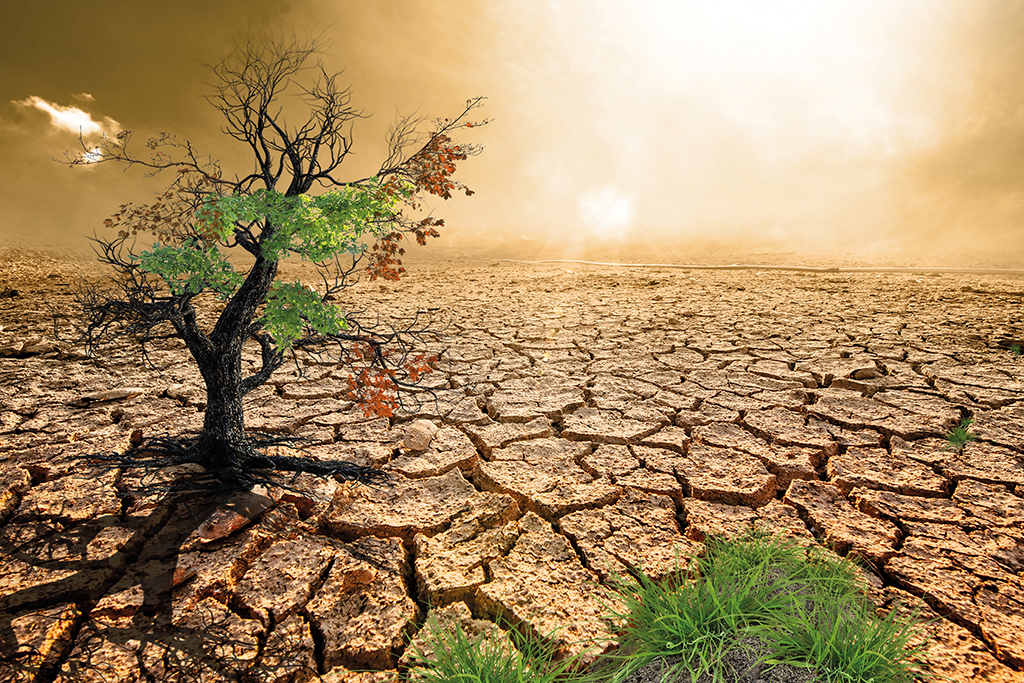 Drying up: Where's the green-tech startup funding gone? - Vimarsana News