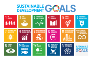 E 2016 sdg poster all sizes without un emblem letter