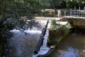 Fish_pass_Keynsham_-_geograph.org_.uk_-_2096832-300x200.jpg